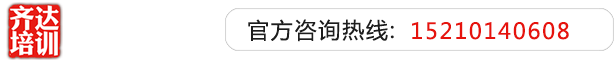 操操我吧爆操我齐达艺考文化课-艺术生文化课,艺术类文化课,艺考生文化课logo